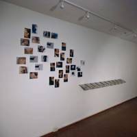 Antonio Picardi "Leaves"