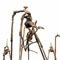 Francesca Blasi "Natura Naturans"