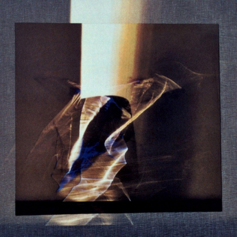 Alba Savoi. Pieghe di luce 2007-2014 Alba Savoi. Pieghe di luce 2007-2014