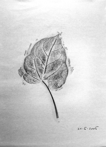 Silvia Stucky. L’acqua è senza io Silvia Stucky. L’acqua è senza io
